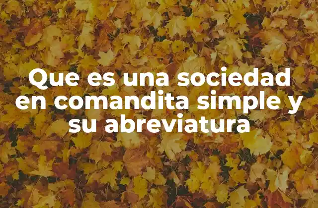 Que es una Sociedad en Comandita Simple y Su Abreviatura
