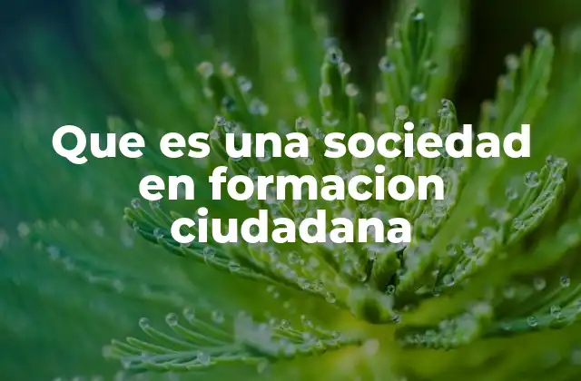 Que es una Sociedad en Formacion Ciudadana