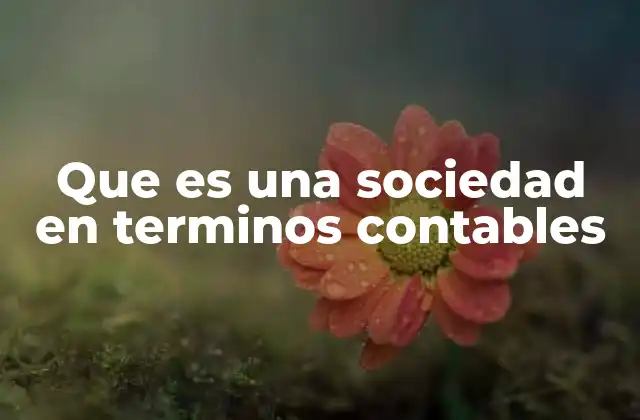Que es una Sociedad en Terminos Contables