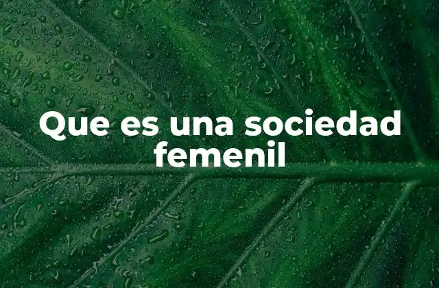 Que es una Sociedad Femenil