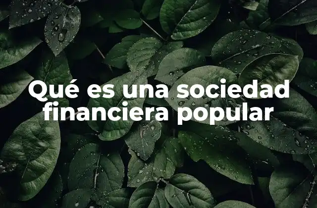 El papel de las sociedades financieras populares en el desarrollo económico