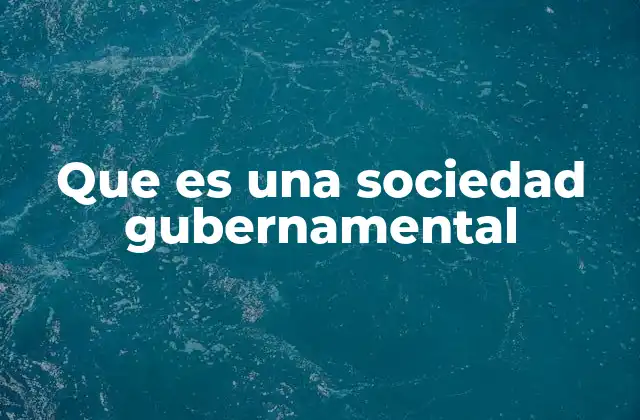 Que es una Sociedad Gubernamental