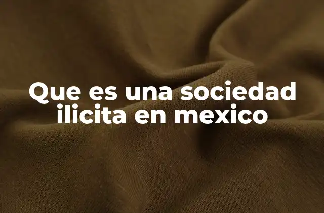 Que es una Sociedad Ilicita en Mexico