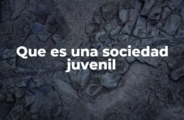 Que es una Sociedad Juvenil 2 El rol de los jóvenes en la sociedad actual