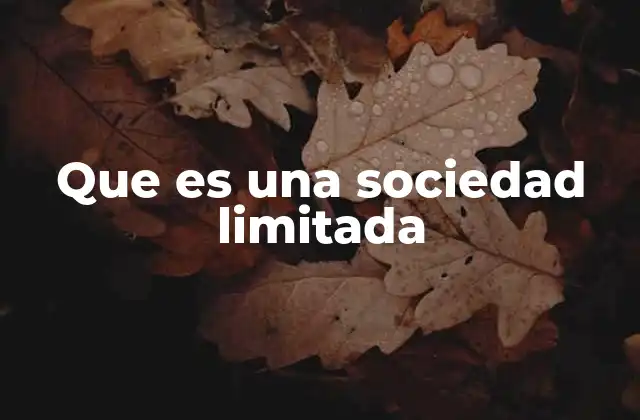 Que es una Sociedad Limitada