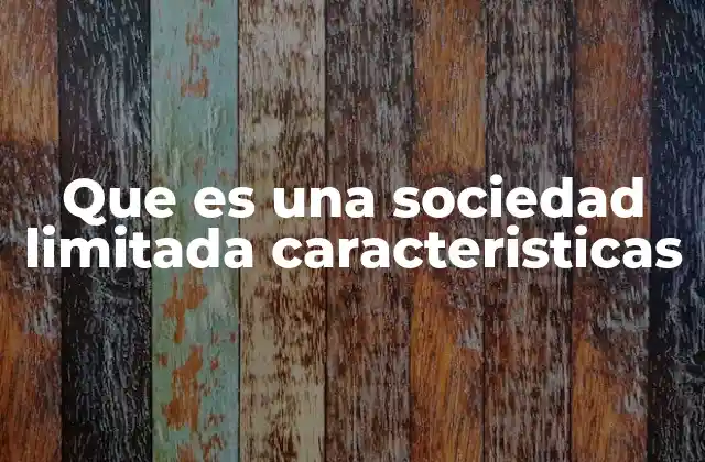 Que es una Sociedad Limitada Caracteristicas