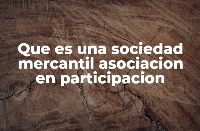 Que es una Sociedad Mercantil Asociacion en Participacion