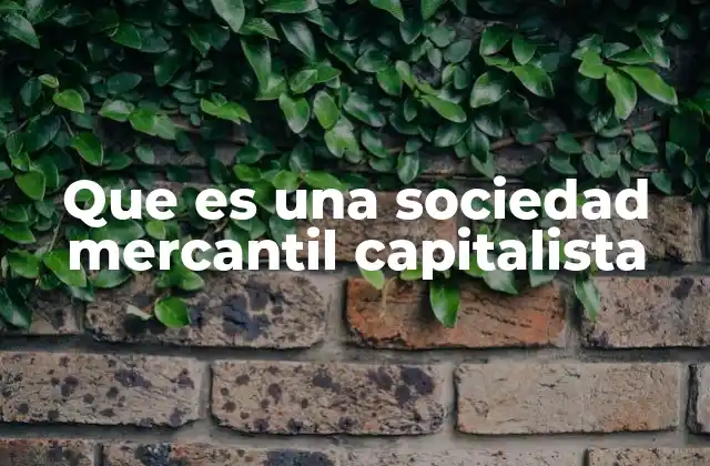 Que es una Sociedad Mercantil Capitalista