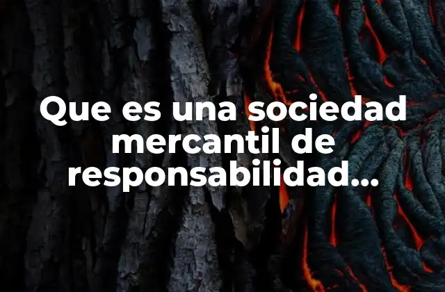 Que es una Sociedad Mercantil de Responsabilidad Limitada