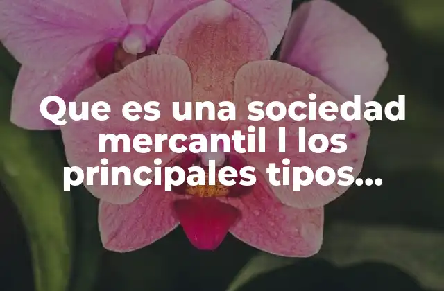 Que es una Sociedad Mercantil L los Principales Tipos Slideshare