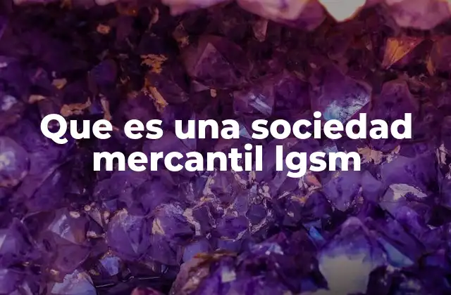 Que es una Sociedad Mercantil Lgsm