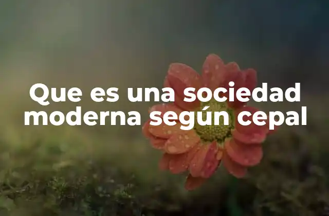 Que es una Sociedad Moderna según Cepal