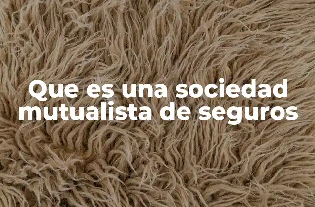 Que es una Sociedad Mutualista de Seguros
