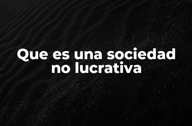 Que es una Sociedad No Lucrativa