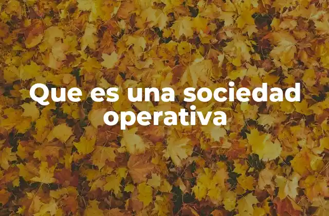 Que es una Sociedad Operativa 2 La importancia de las sociedades operativas en la estrategia empresarial