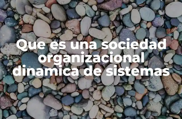 Que es una Sociedad Organizacional Dinamica de Sistemas