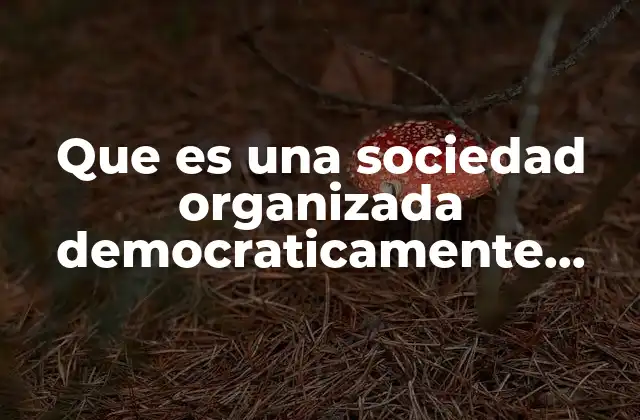 Que es una Sociedad Organizada Democraticamente Secundaria