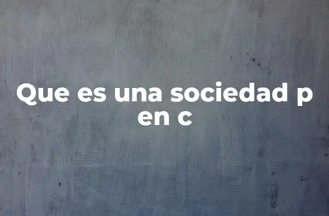 Que es una Sociedad P en C