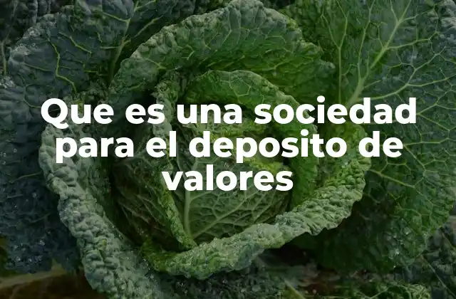 Que es una Sociedad para el Deposito de Valores