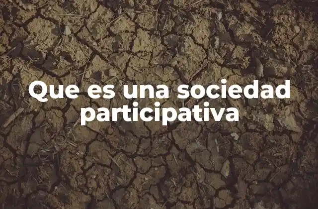 Que es una Sociedad Participativa