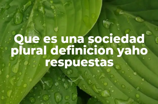 Que es una Sociedad Plural Definicion Yaho Respuestas
