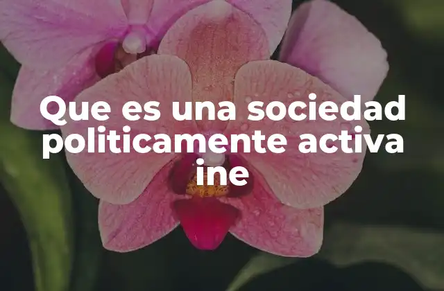 Que es una Sociedad Politicamente Activa Ine