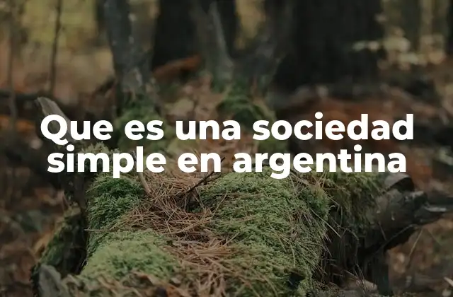 Que es una Sociedad Simple en Argentina