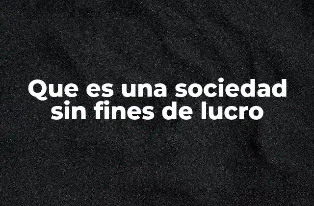 Que es una Sociedad sin Fines de Lucro