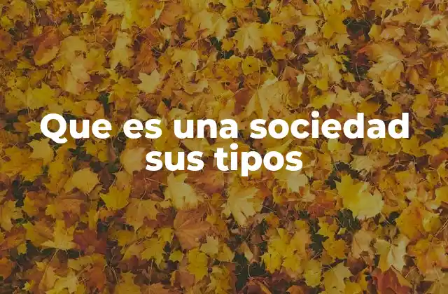 Que es una Sociedad Sus Tipos