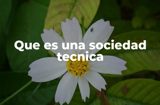 Que es una Sociedad Tecnica