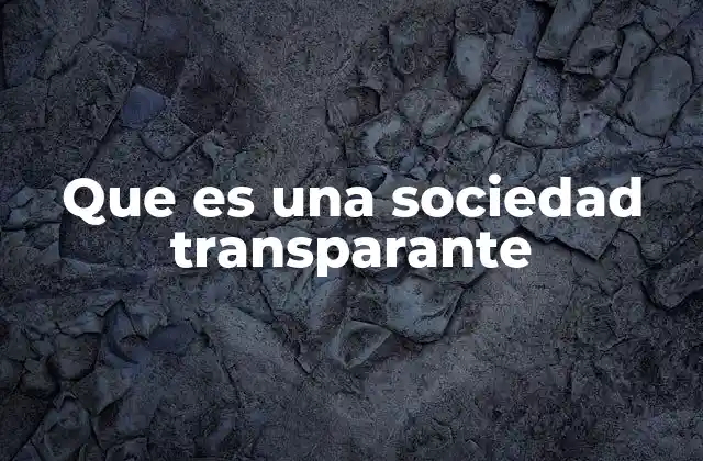 Que es una Sociedad Transparante