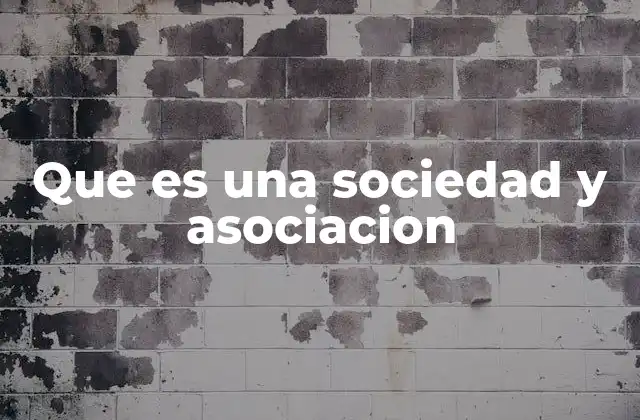 Que es una Sociedad y Asociacion