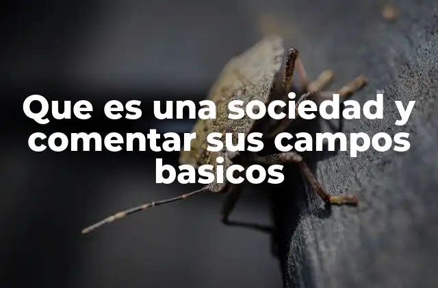 Que es una Sociedad y Comentar Sus Campos Basicos