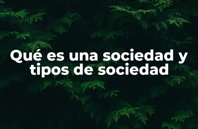 Qué es una Sociedad y Tipos de Sociedad 2 Estructura y funciones de una sociedad
