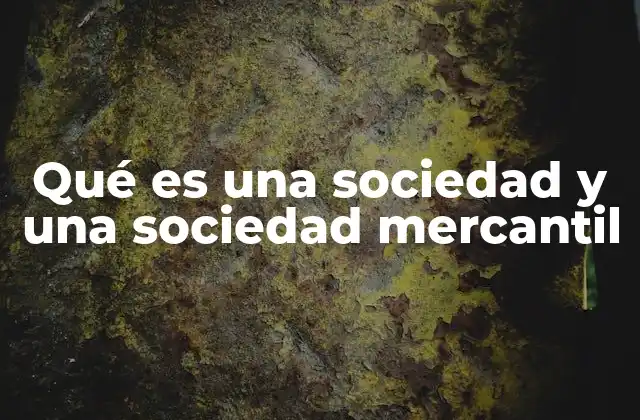 Qué es una Sociedad y una Sociedad Mercantil