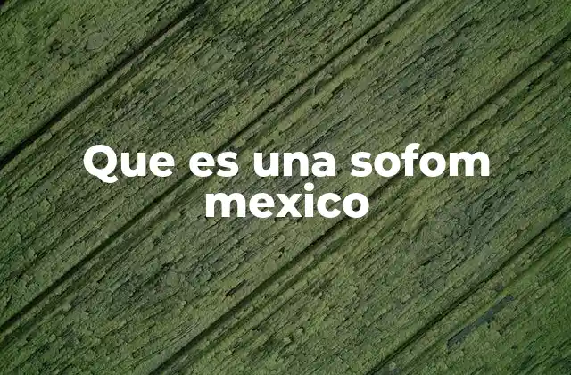 Que es una Sofom Mexico 2 El papel de las SOFOM en el sistema financiero mexicano