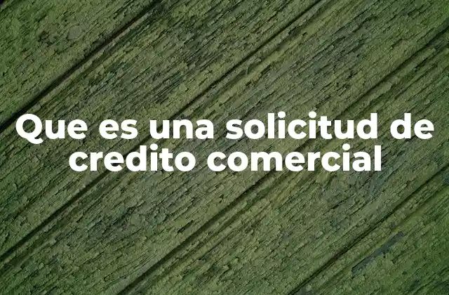 Que es una Solicitud de Credito Comercial