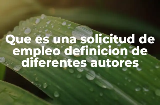Que es una Solicitud de Empleo Definicion de Diferentes Autores