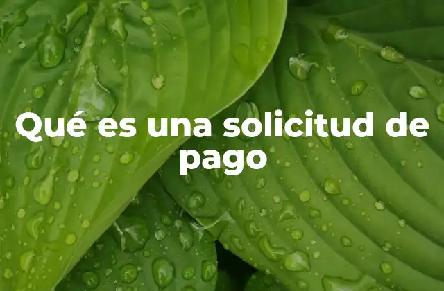 Qué es una Solicitud de Pago
