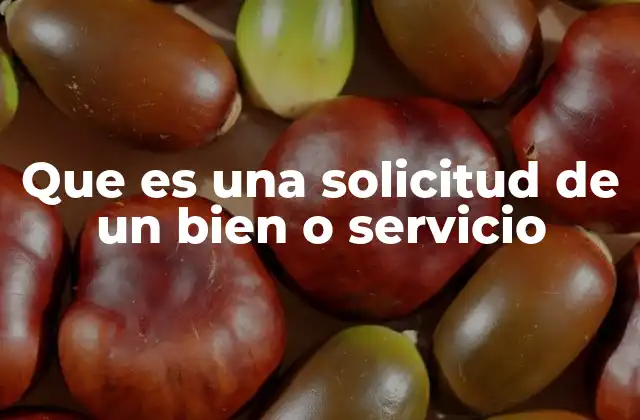 Que es una Solicitud de un Bien o Servicio