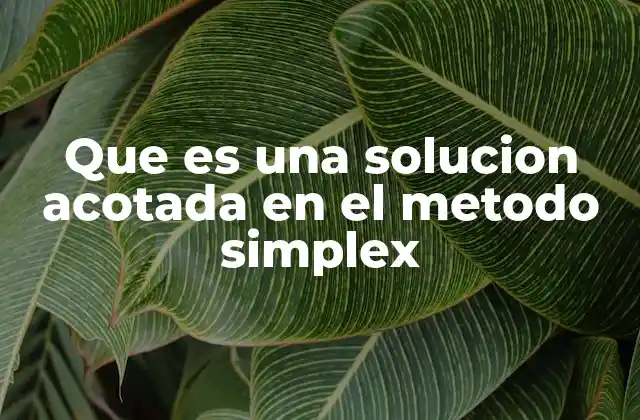 Que es una Solucion Acotada en el Metodo Simplex