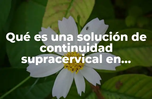 Qué es una Solución de Continuidad Supracervical en Medicina 2 La importancia de la preservación del cuello uterino en ciertos casos