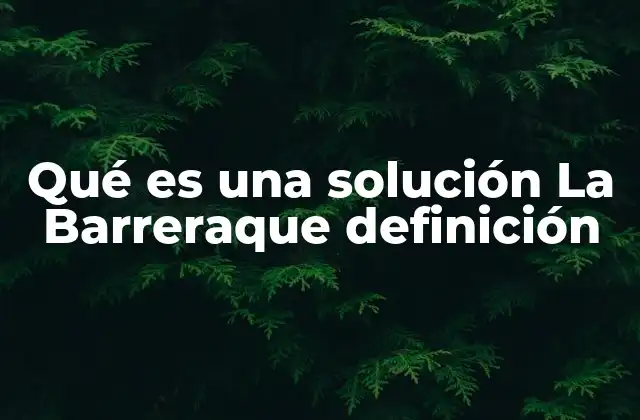 Qué es una Solución la Barreraque Definición 2 Características de una solución basada en barreras definidas