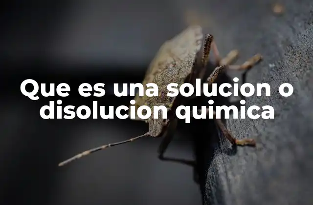 Que es una Solucion o Disolucion Quimica