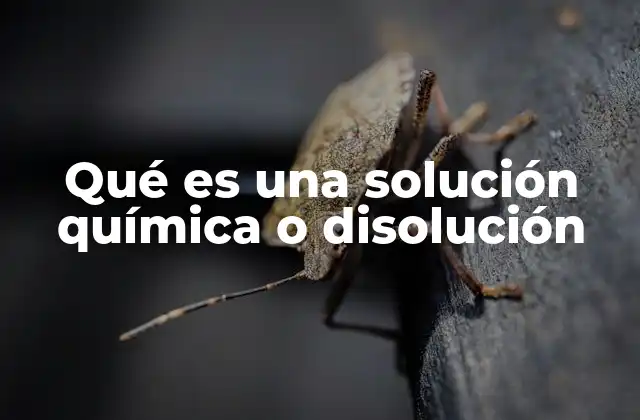 Qué es una Solución Química o Disolución