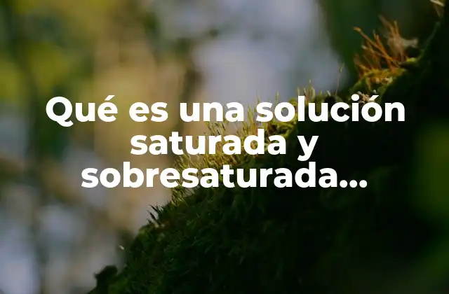 Qué es una Solución Saturada y Sobresaturada Ejemplos