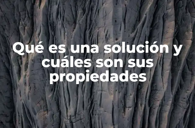 Componentes y tipos de soluciones