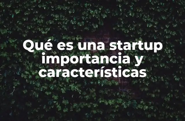 Qué es una Startup Importancia y Características