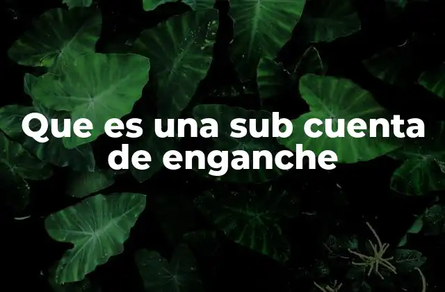 Que es una Sub Cuenta de Enganche