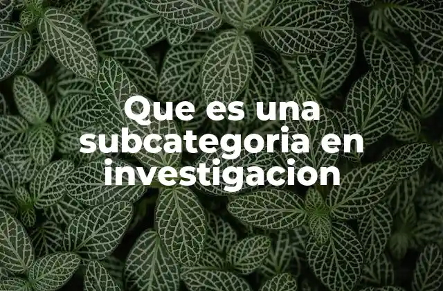 Que es una Subcategoria en Investigacion